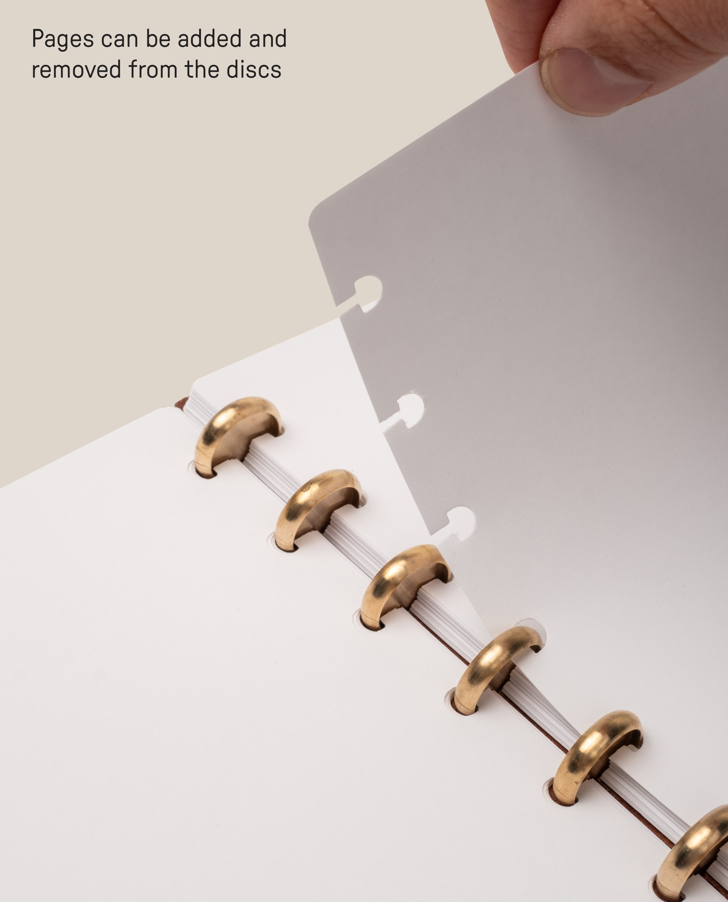 A hand removes a sheet of blank journal paper from a Discbound Journal with gold discs using the Discbound Journal Refill - Blank (Standard 6″ x 8.5″). Text reads, Pages can be added and removed from the discs, making it easy to organize or use refill paper.
