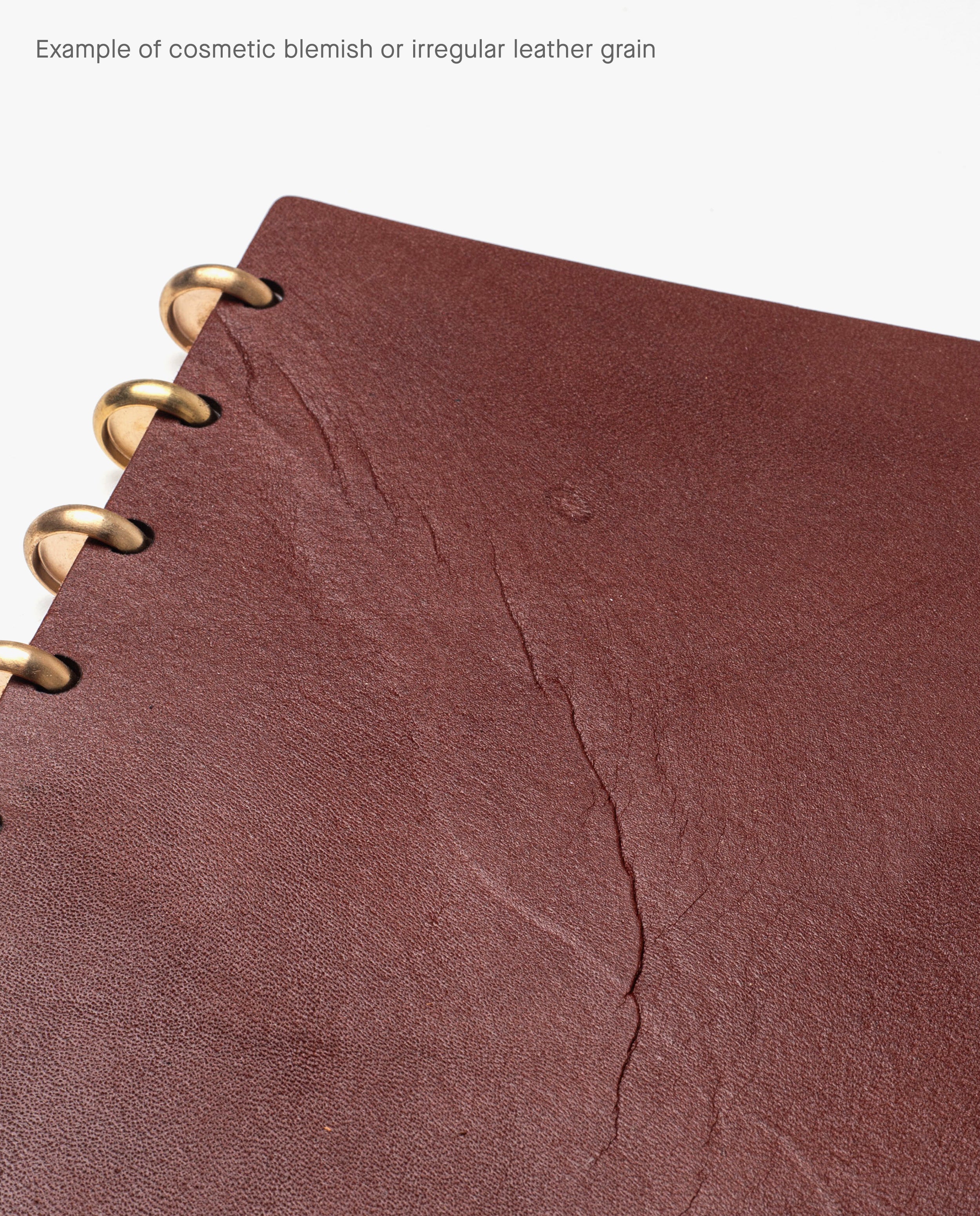 Close-up of the Warehouse Item - Discbound Heirloom Journal (Brown/Brass) featuring a full grain leather cover with brass discs, visible cosmetic blemishes, and unique irregular leather grain—ideal for a warehouse sale.