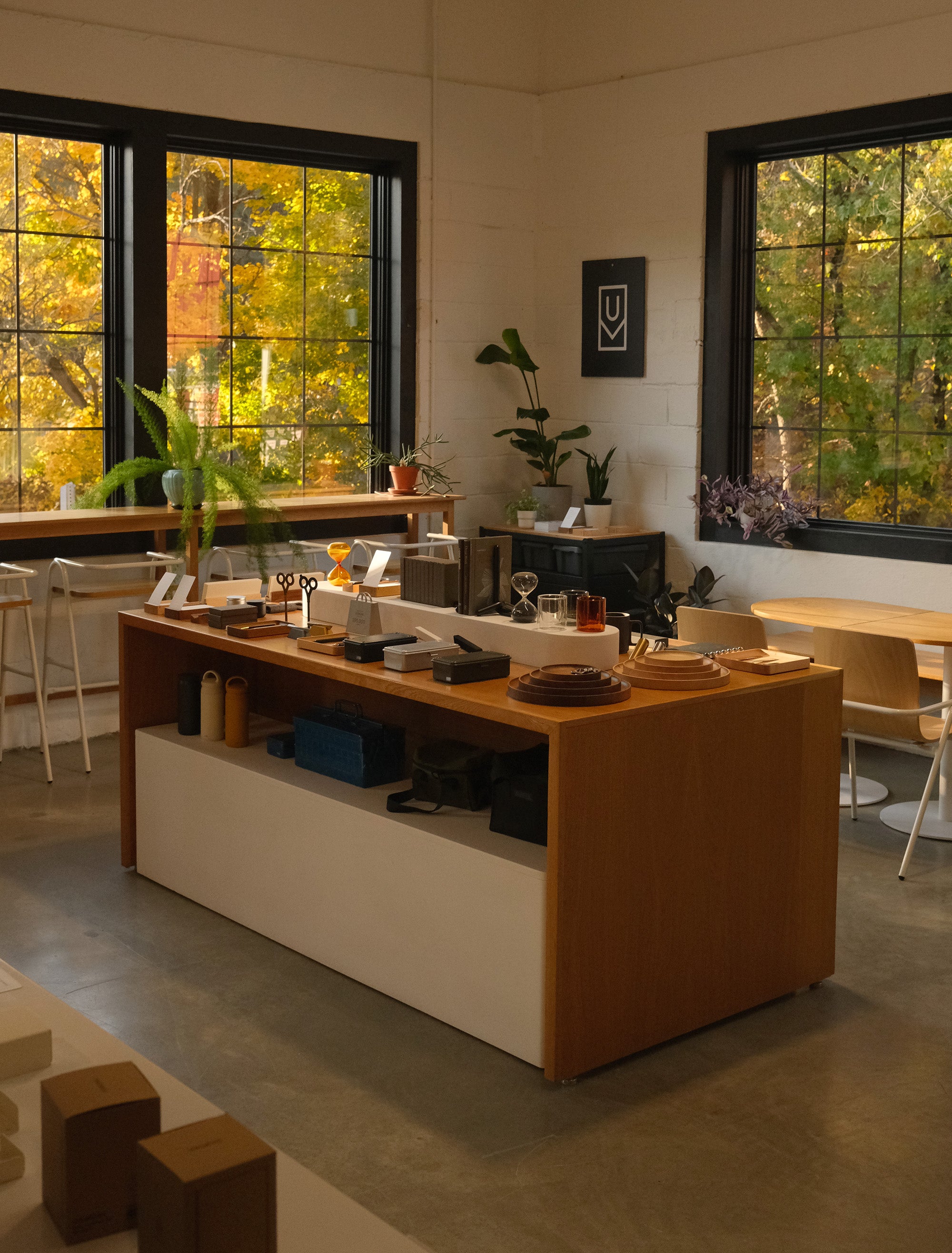 A sunlit shop interior features a wooden display counter with neatly arranged goods, plants, and large windows showcasing colorful autumn trees outside. Minimalist decor and natural light create a cozy atmosphere.